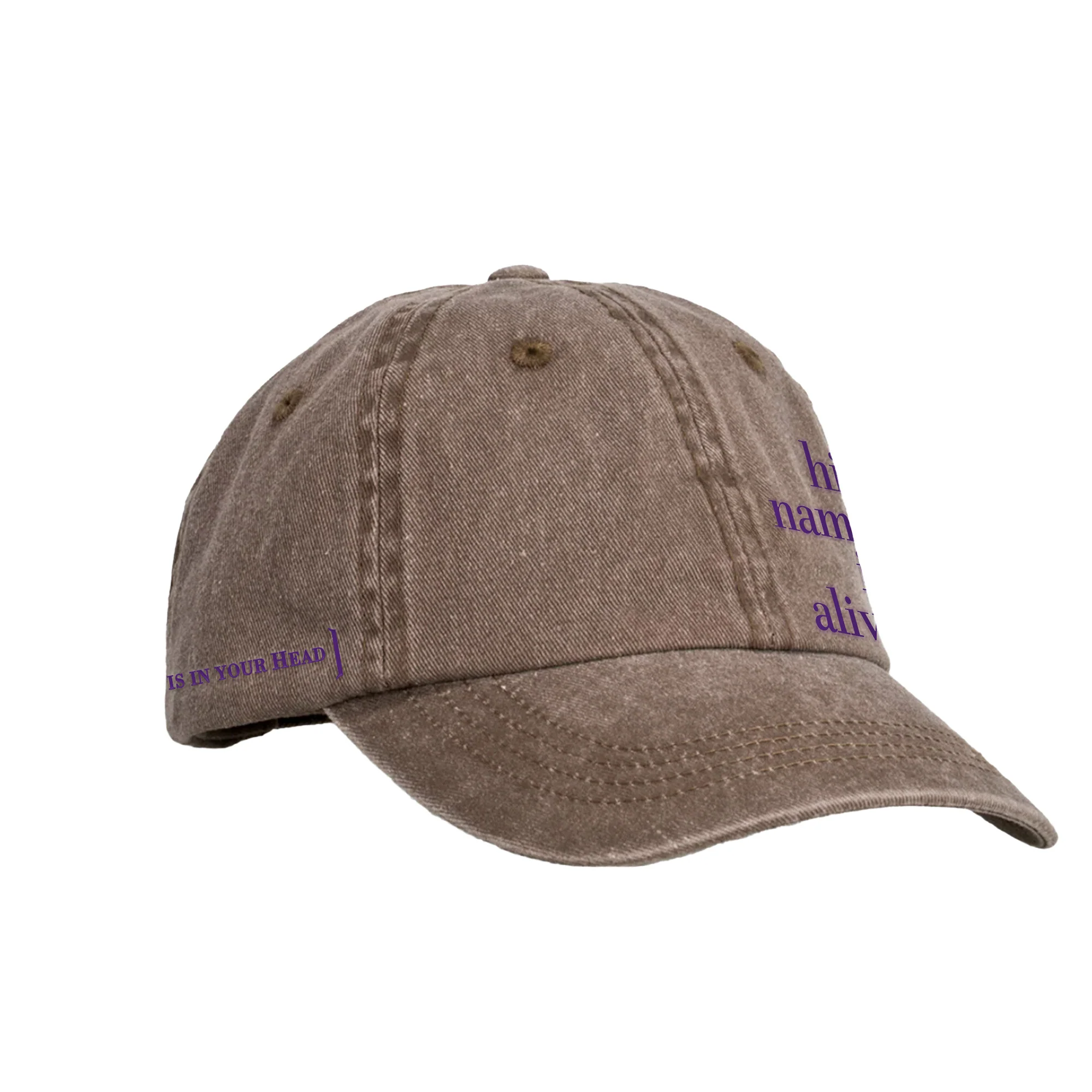 Home Is In Your Head Cap